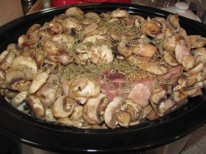 Crockpot Roast with: onion, mushrooms, garlic, rosemary, red wine, mushroom soup